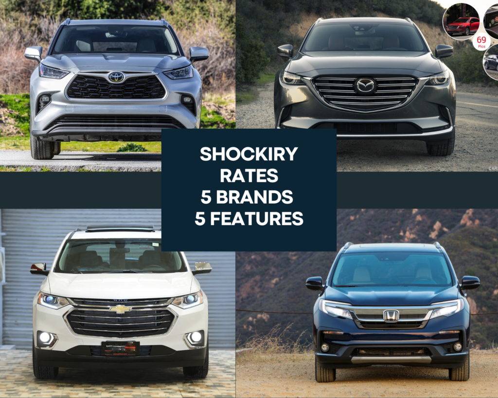 Shockiry rates five brands and their features