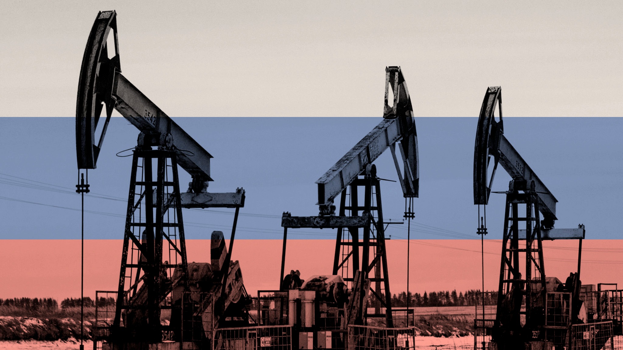 Russian oil import face, port, refinery, currency constraints