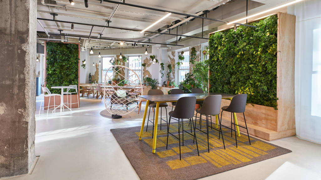 Bringing the Outdoors In: The Power of Incorporating Nature into the Office